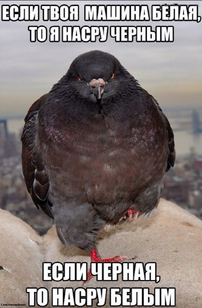 � ��� �� �����������