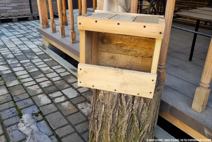 Завёл нелегальную птицеферму в лесу. Что по деньгам Животные, В мире животных, Редкий вид, Дикая природа, Природа России, Птицы, Хищные птицы, Сова, Сокол, Видео, Короткие видео, Длиннопост Завёл нелегальную птицеферму в лесу. Что по деньгам Животные, В мире животных, Редкий вид, Дикая природа, Природа России, Птицы, Хищные птицы, Сова, Сокол, Видео, Короткие видео, Длиннопост