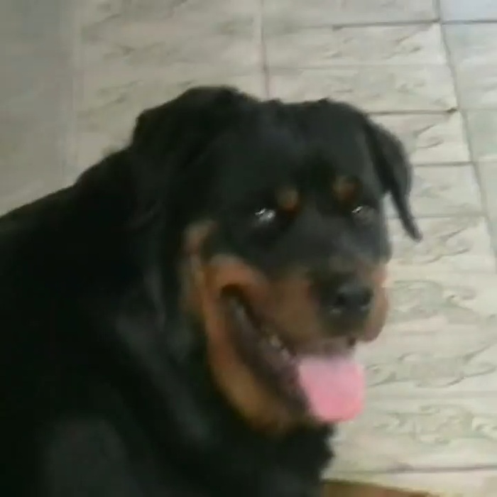     1   2  , , 