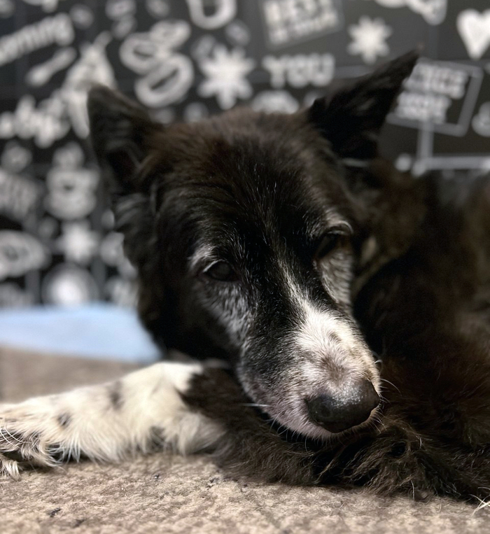 Иногда мы просто любим молча