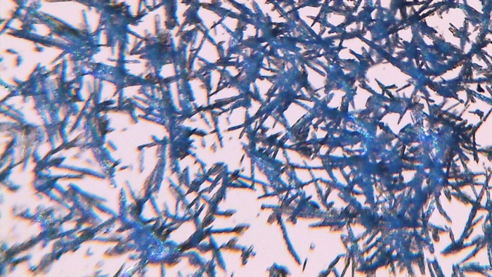 Увеличение х200. Раствор, нижняя и верхняя подсветка одновременно. Осадок белый, просто так сверху красиво падает свет