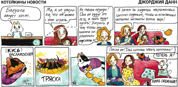 Котейкины Новости от 20.04.2025