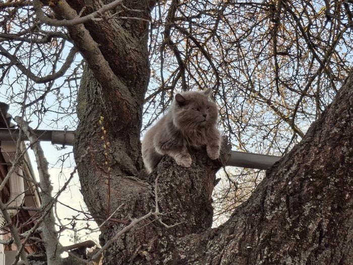 Маскировка 5+