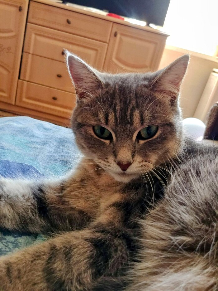 ����������, ��� ��� �����