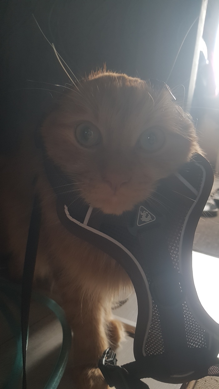     2      ,          ))) ,  , , 