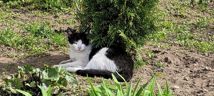 � ���� ��� ��� ���������� �� ������