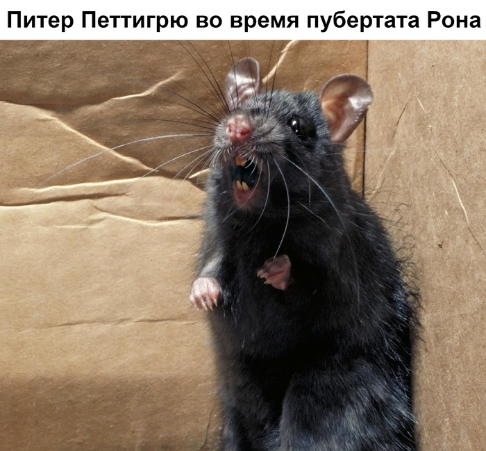 ,    ,  ,  ,   ,  ,  ()