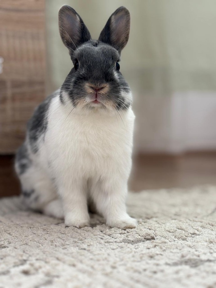  , , ,  , ,  