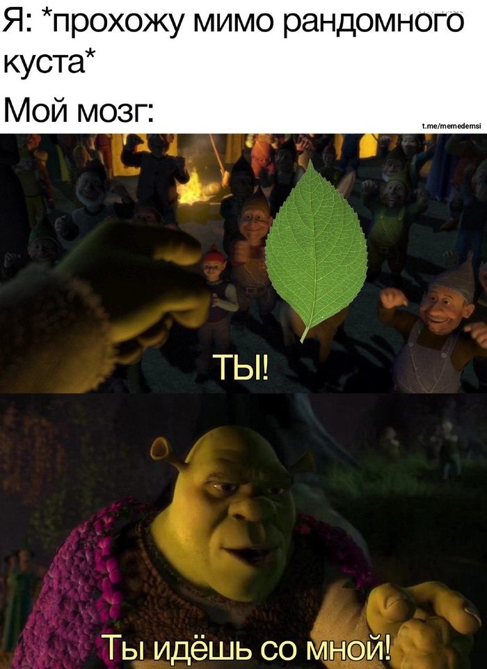 Летнее развлечение