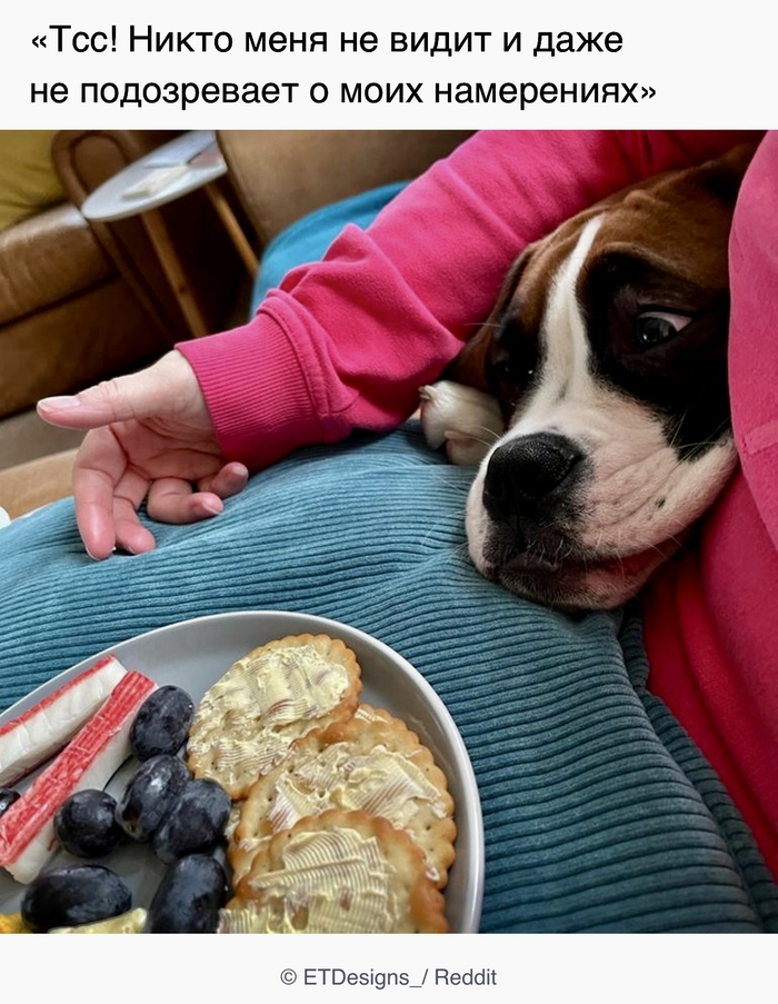 Совсем никто