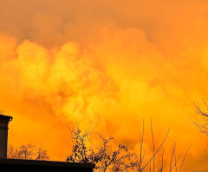 ��� ��� �����������