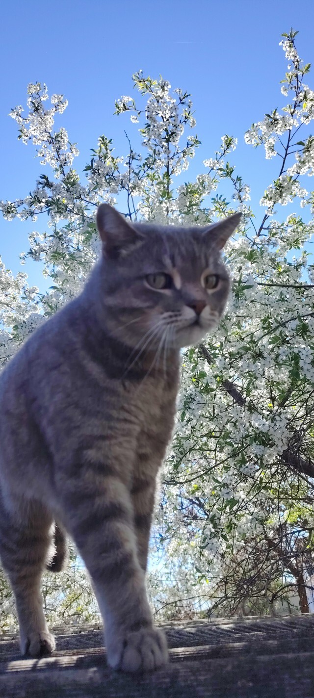 Наверное свидание не удалось