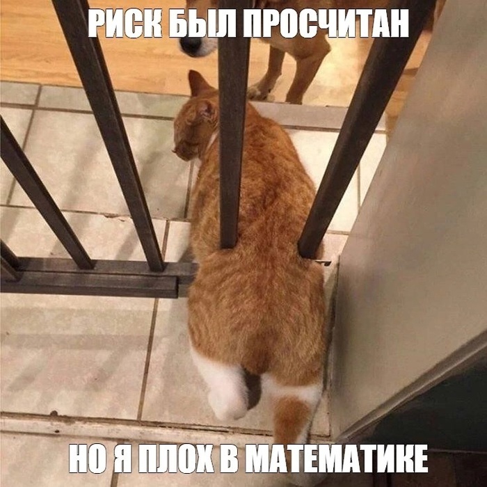 ��� ������ ����� � ����������