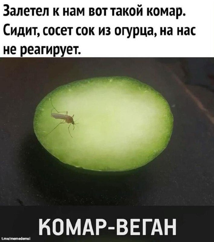      ,   , , , , , , Telegram ()