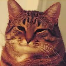           225? , ,   , , , , , , ,  ,   , 