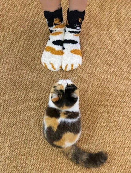     ? , , , ,  