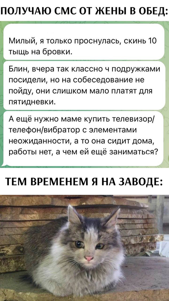 Жена шлюха  