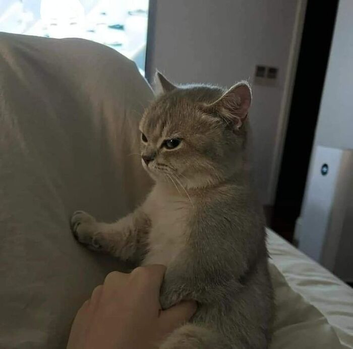 Убери руки Наташа!