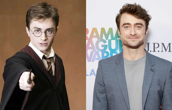 Дэниэл Рэдклифф - Harry Potter, из одноимённой франшизы.