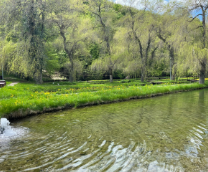 ������������� ����������� ��� �������� ����