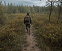 ������ �� �������