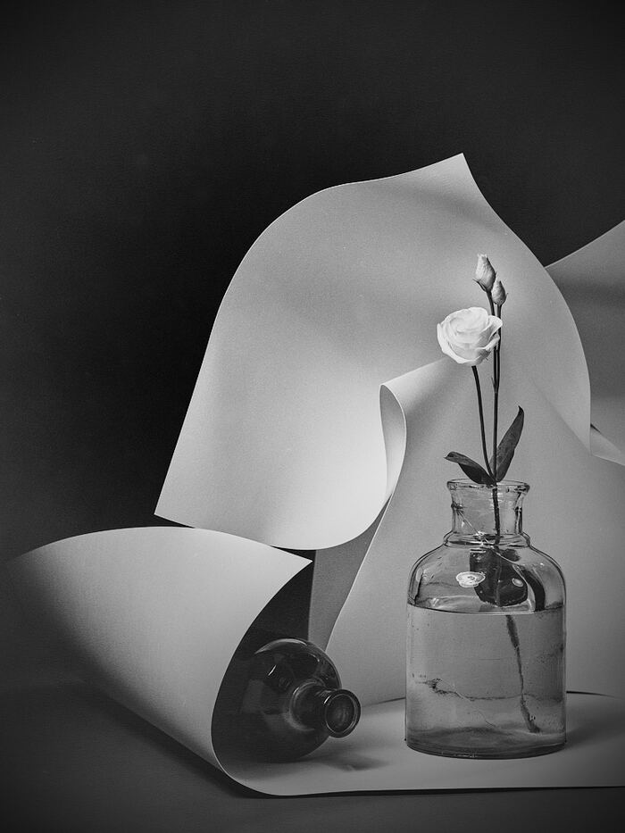 RB67 PRO SD, Ilford Fp4+, D76 1+3