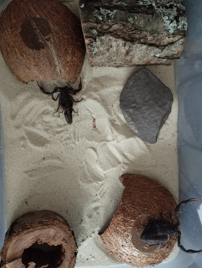 Переселились и отдыхают