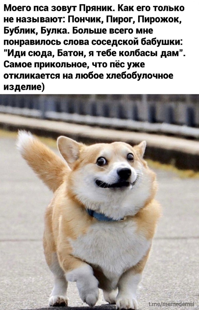     , , ,  , , , Telegram (), 