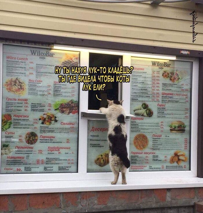  ,   , , , , 