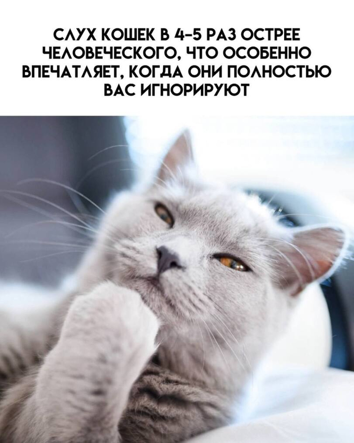       ,        , , , 