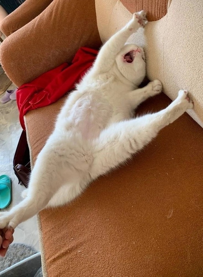       ,  , , , , , ,  