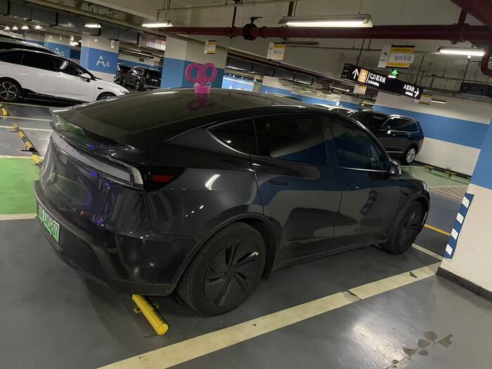 ������� ��������� ���