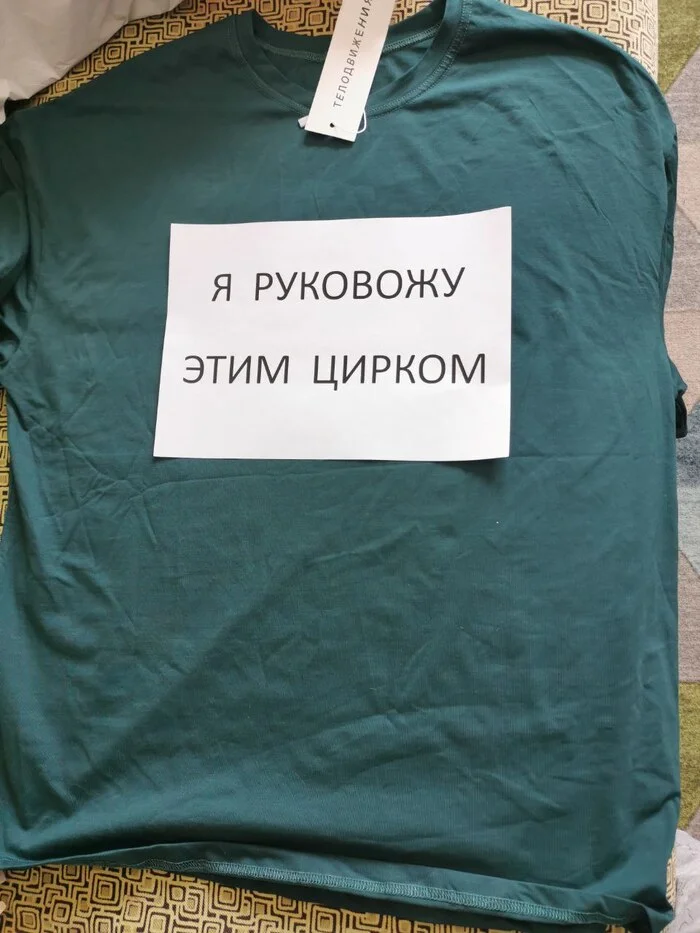 Как вышить надпись на футболке простыми стежками Рукоделие с процессом, Вышивка, Своими руками, Кастомизация, Рукоделие, Апсайклинг, Длиннопост