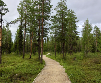 ������� �����