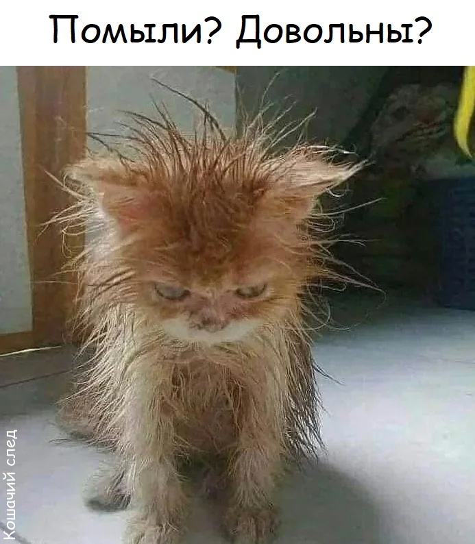    ! ,  ,  (),   , 