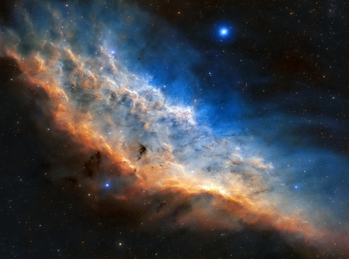     .       (Chuck Ayoub)