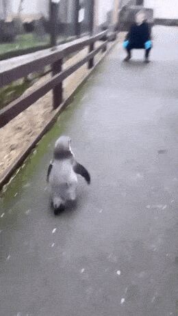   , , , 