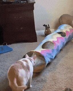   , , , 