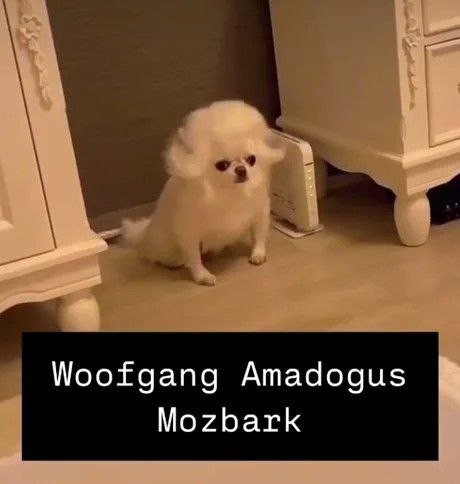 ��������� �������� ��������