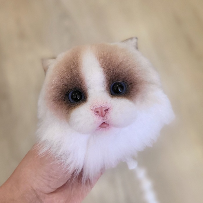    -     ,  ,  ,  , , , , , ,  ,  , 