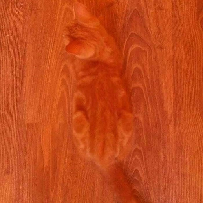      , ,  , , , , , , , , 