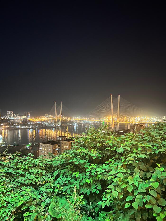 вид на Золотой мост