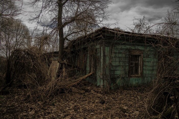 ����������� ���� �����-������������ �������� � ���� ������