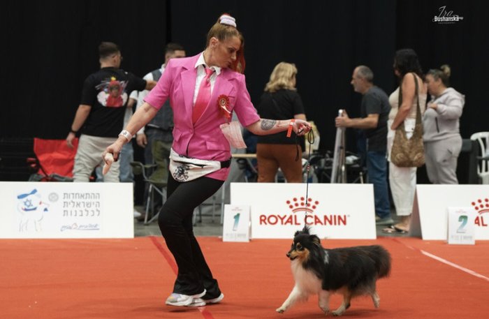 Израильский клуб собаководства, спонсируемый Royal Canin, проведет в Араде крупнейшую международную выставку собак в Израиле. (фото: Ирина Бушанская)