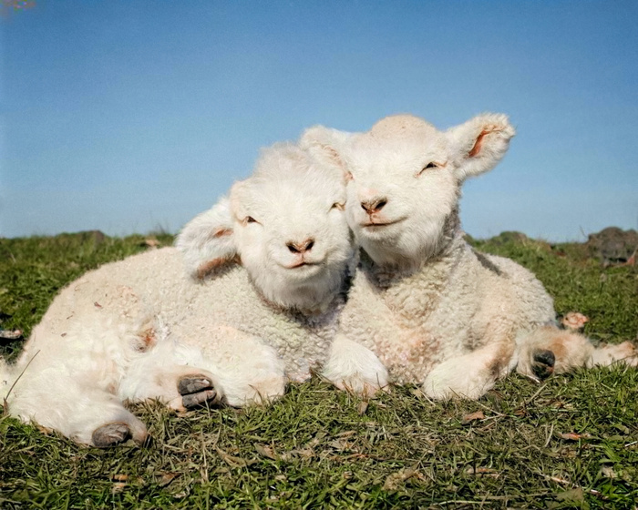 ��������: H. Armstrong Roberts