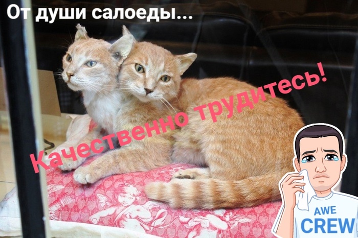      , , , :  