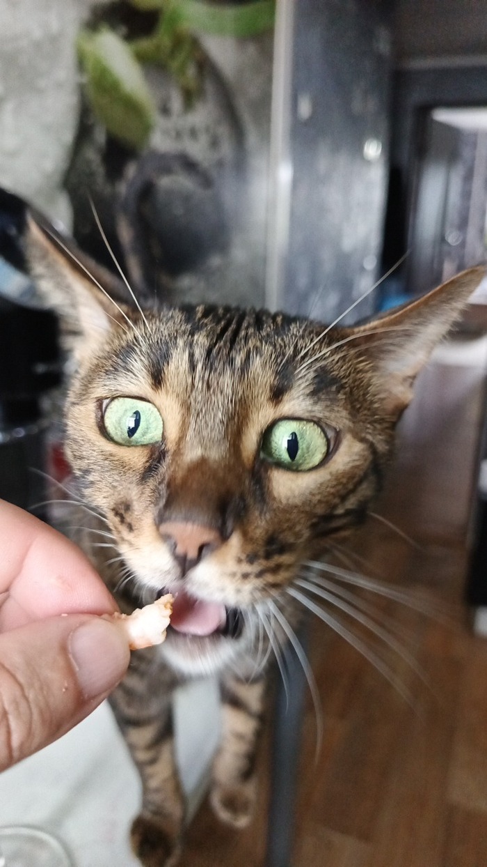   , 