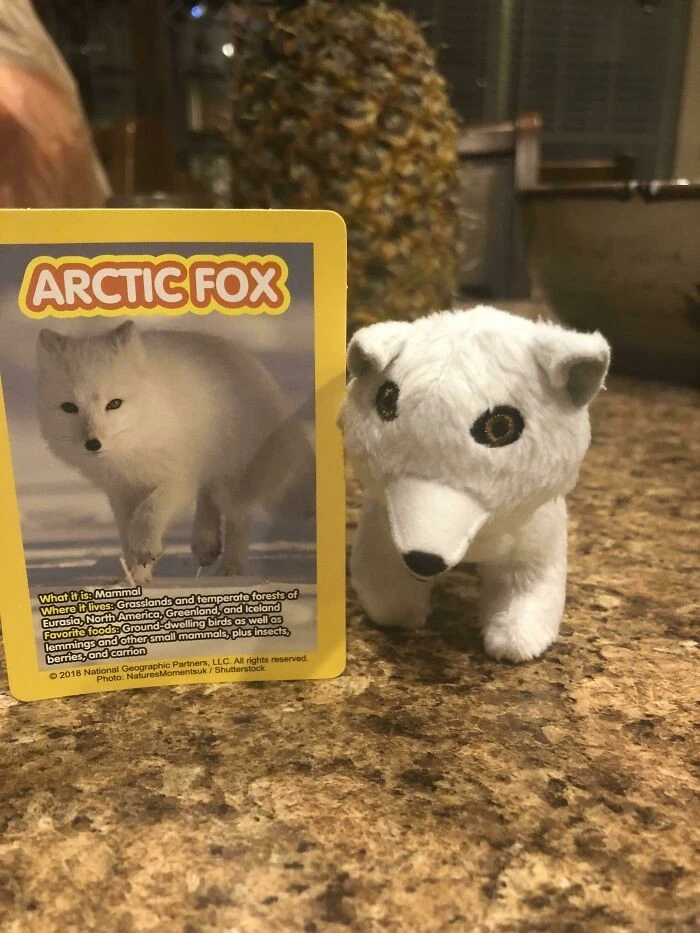  ... ,  ,   , , , , , 