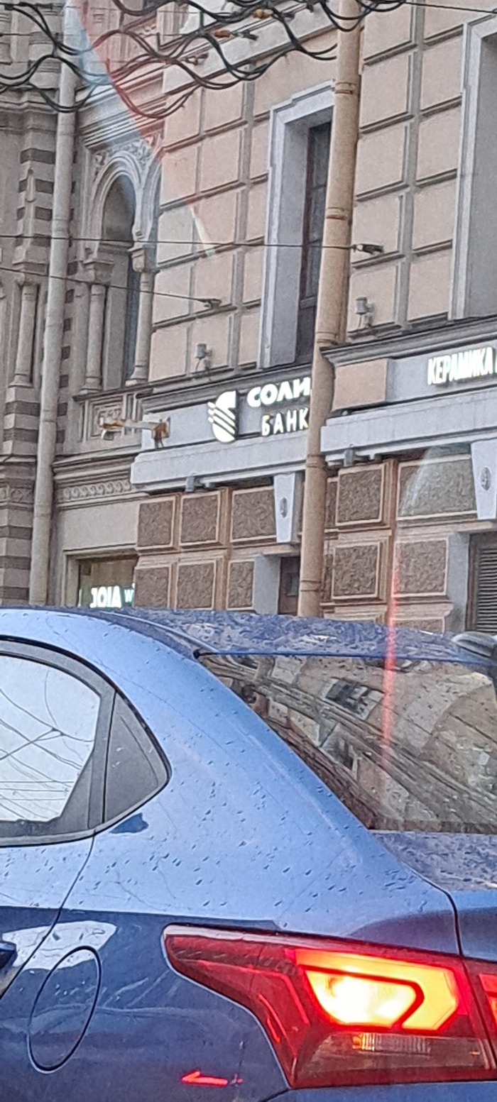 ... , , , , 
