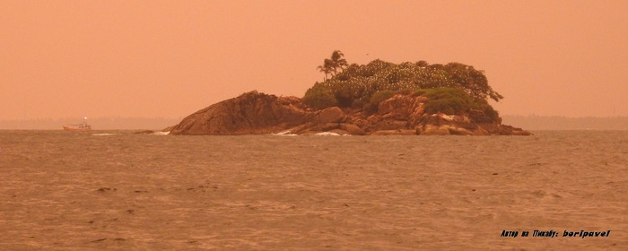 Crow Island, ,   2025 , Crow,   , , ,  , , -, , 2025,   ,  ,  ,  ,  , 